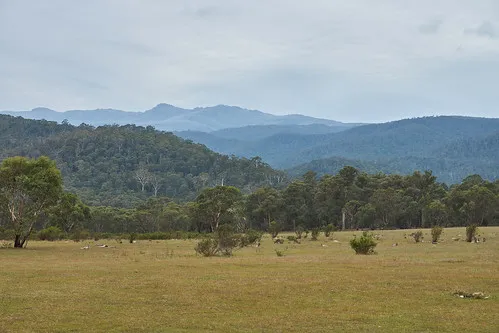 tom-groggin-campground-murray-gorge-lfkwu