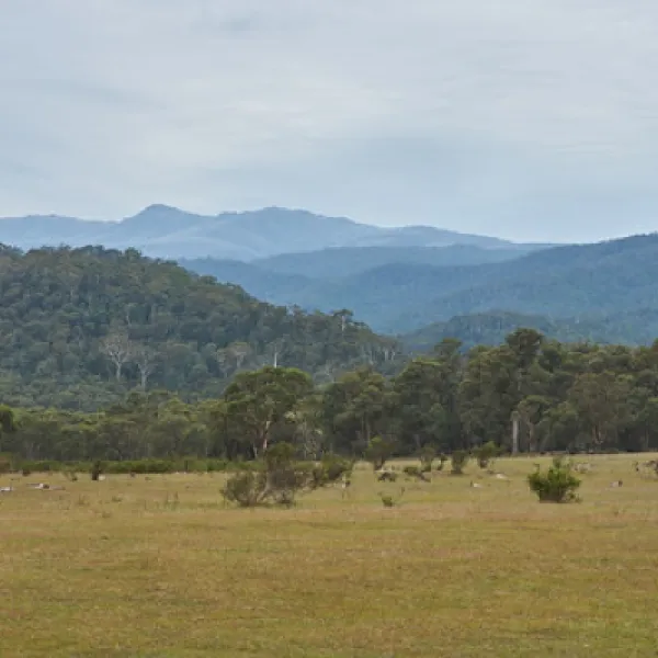 tom-groggin-campground-murray-gorge-lfkwu