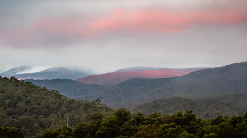 tom-groggin-campground-murray-gorge-q8qm5