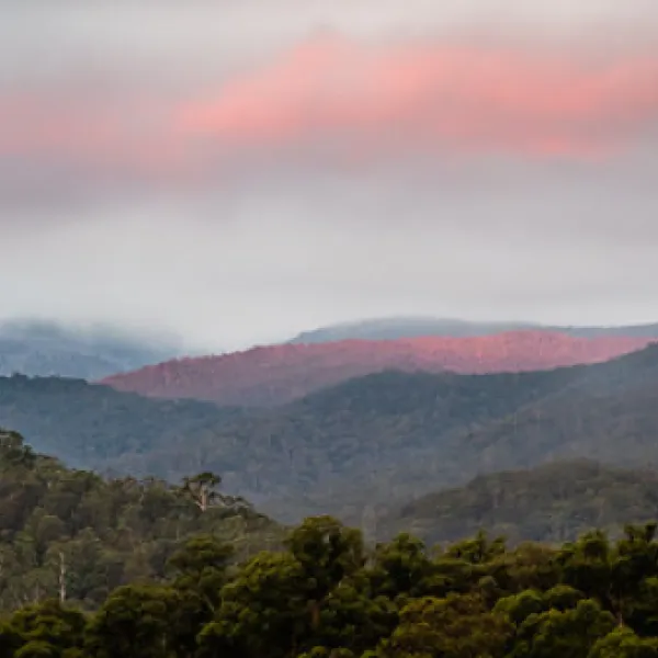 tom-groggin-campground-murray-gorge-q8qm5