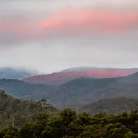 tom-groggin-campground-murray-gorge-q8qm5