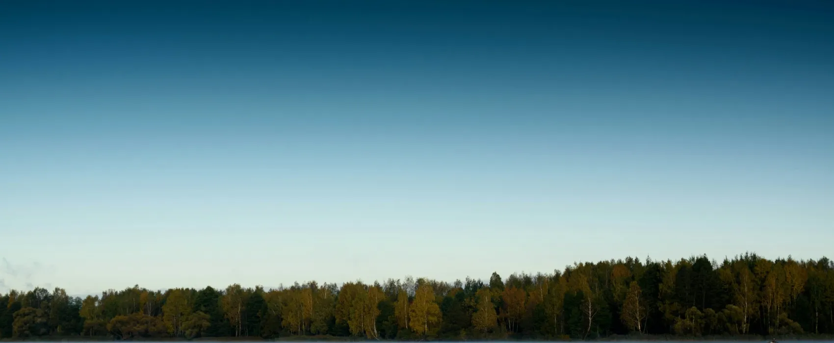 Bielorrusia