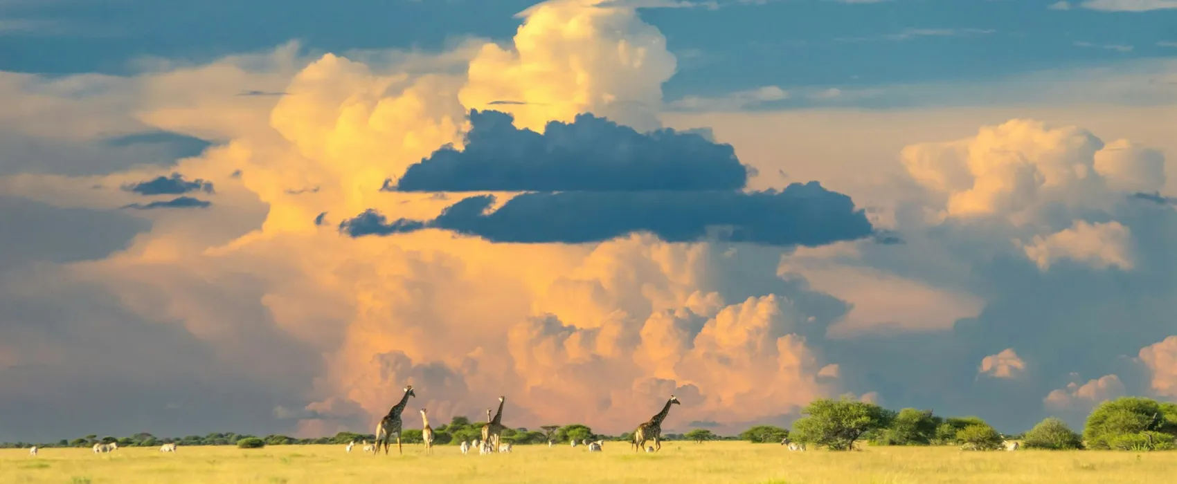 Botswana