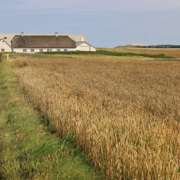 Danemark