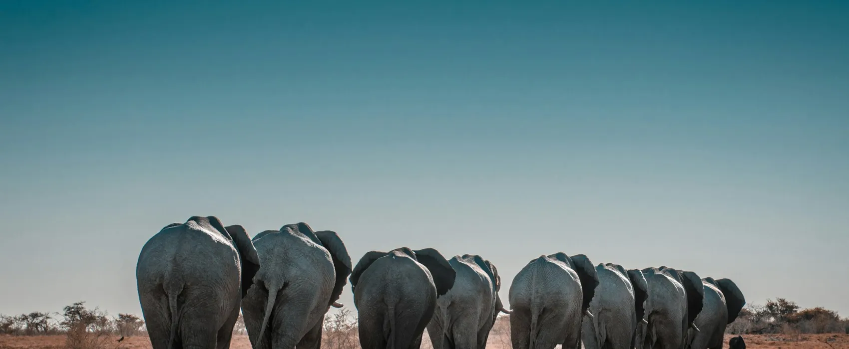 Namibia
