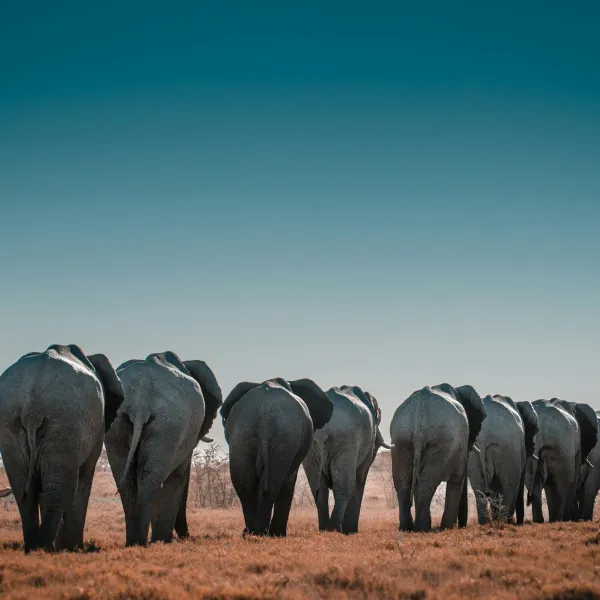 Namibia