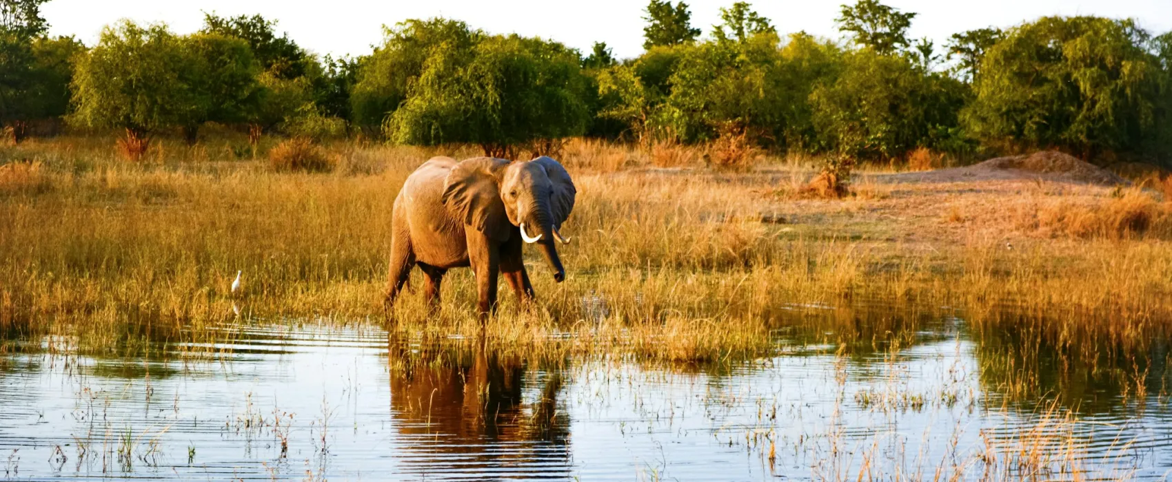 Zimbabwe