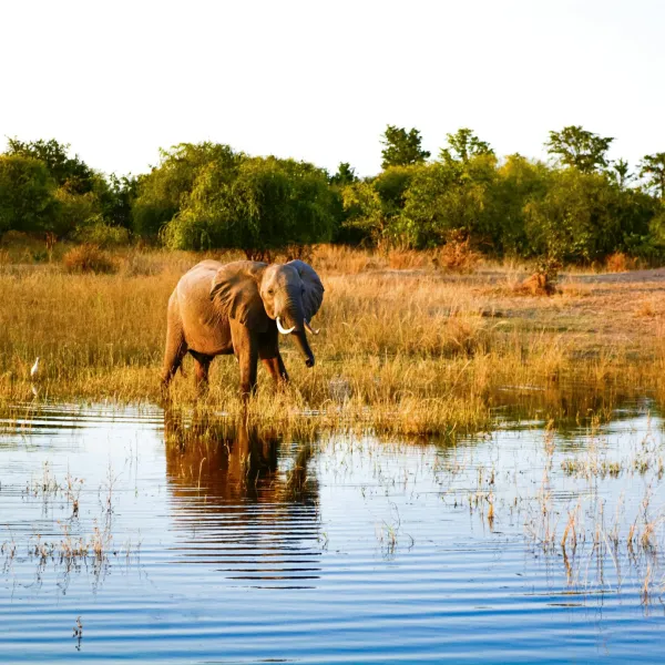 Zimbabwe