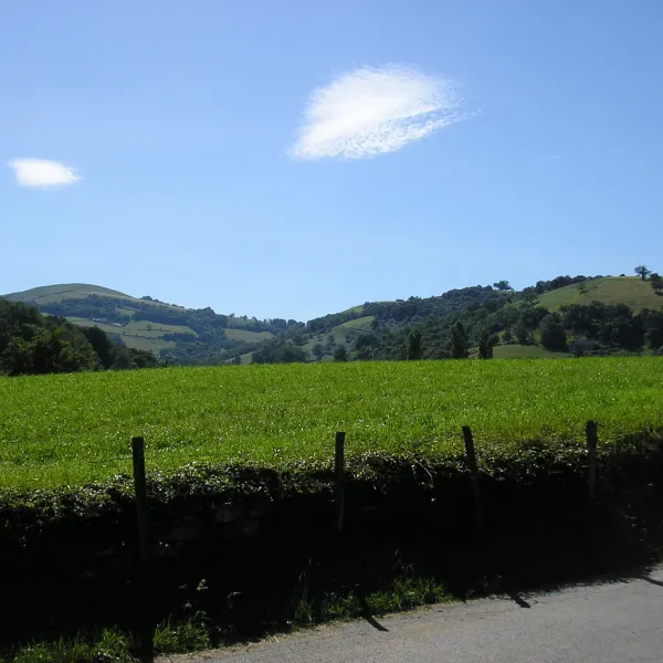 New blog post! With two children, a husband and a dog, Alinda left for South-Wes...