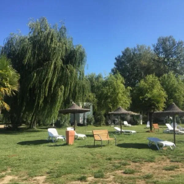 ⛺ 🏕 🐿 Did you know that there are more than 40,000 campsites on Spottocamp? Tak...