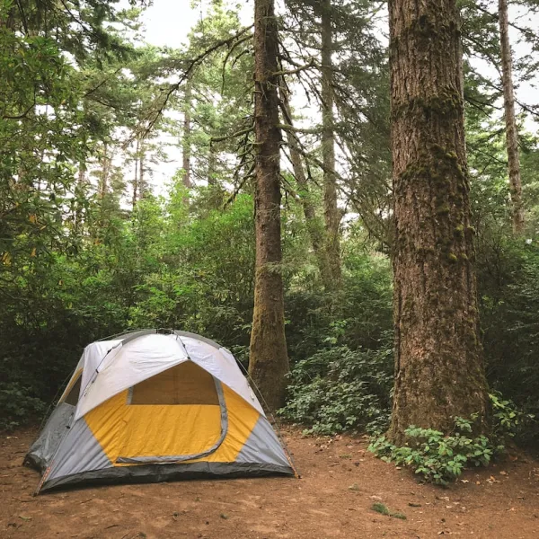 When you’re planning a camping trip, one of the most important decisions you’ll...