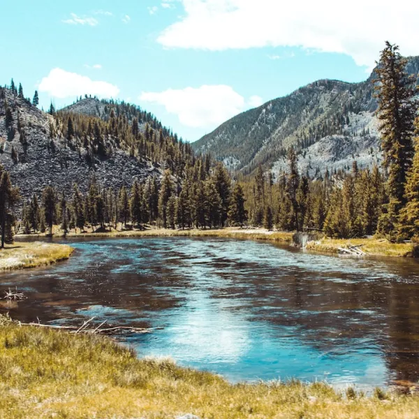 Are you looking for the best national parks for camping in the United States? If...