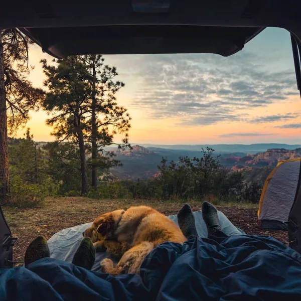 Camping with your dog can be a great way to bond and explore the outdoors togeth...