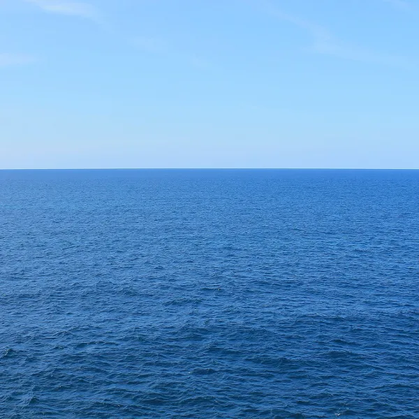 We are pleased to announce our recent migration to the DigitalOcean cloud platfo...