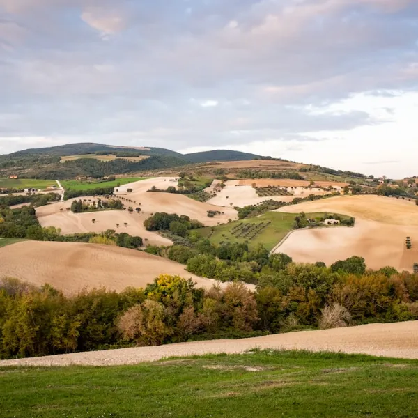 The Italian region of Marche is a hidden gem, with stunning landscapes, pristine...