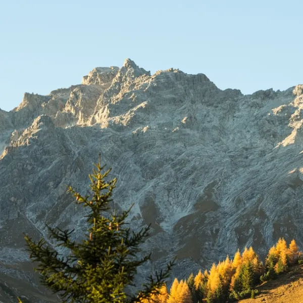#mustvisit #austria #tyrol #campgrounds #campsites #spottocamp #outdoor #tent #h...