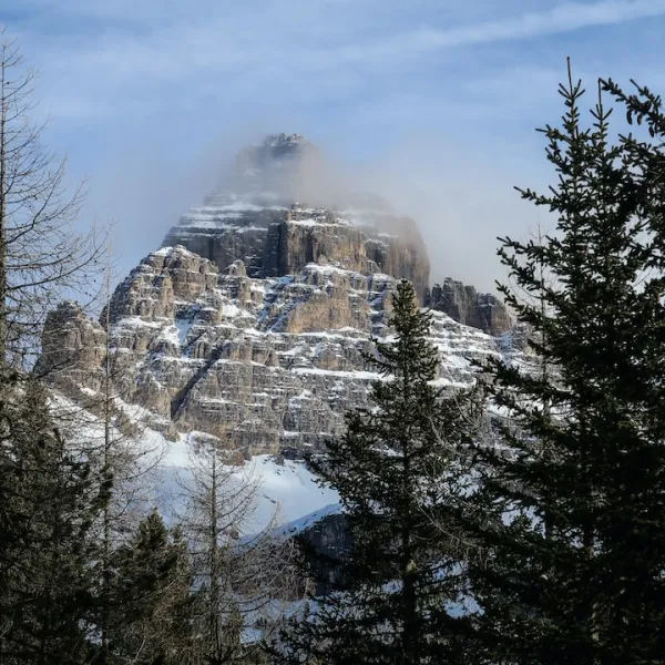 Trentino-South Tyrol, a region in northern Italy, is a haven for outdoor enthusi...