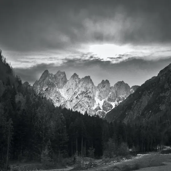 Friuli, a hidden gem in the northeastern corner of Italy, is a region rich in hi...