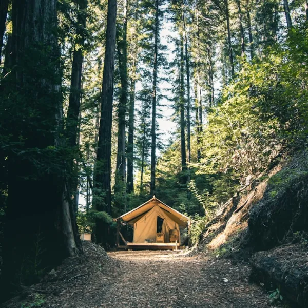 Camping, a revered tradition for nature enthusiasts worldwide, has evolved drama...