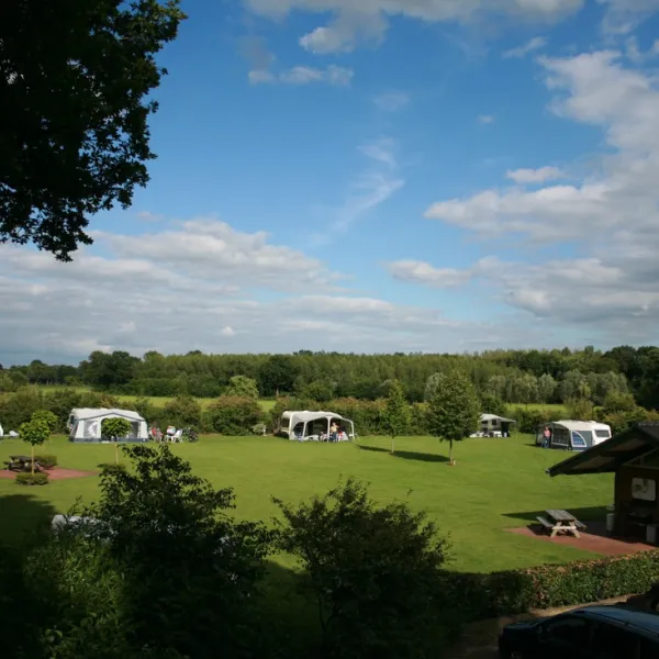 ⛺ 🏕 🐿 Grab your bags and travel to the Netherlands today! In Gelderland you wil...
