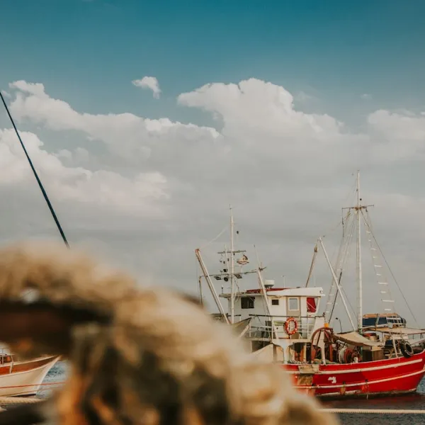 Crete, the largest of the Greek islands, is a paradise for tourists who love the...