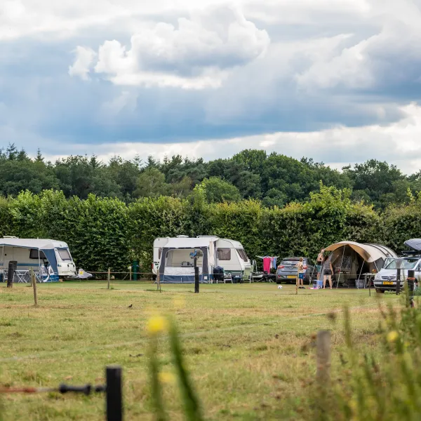 ⛺ 🏕 🐿 Today we have selected this beautiful campsite in Overijssel, the Netherl...