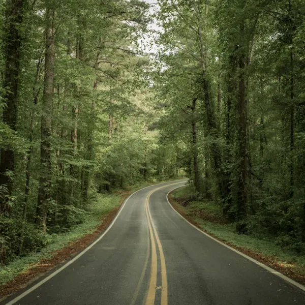 Tennessee, a state located in the southeastern region of the United States, is k...