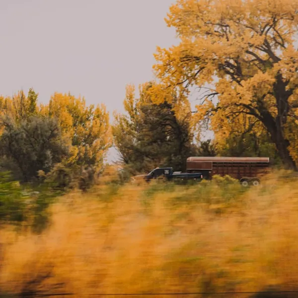 Colorado, located in the western United States, is a state renowned for its dive...