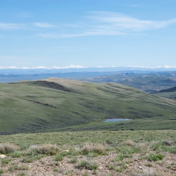 Known for its breathtaking landscapes, rich history, and diverse wildlife, Wyomi...