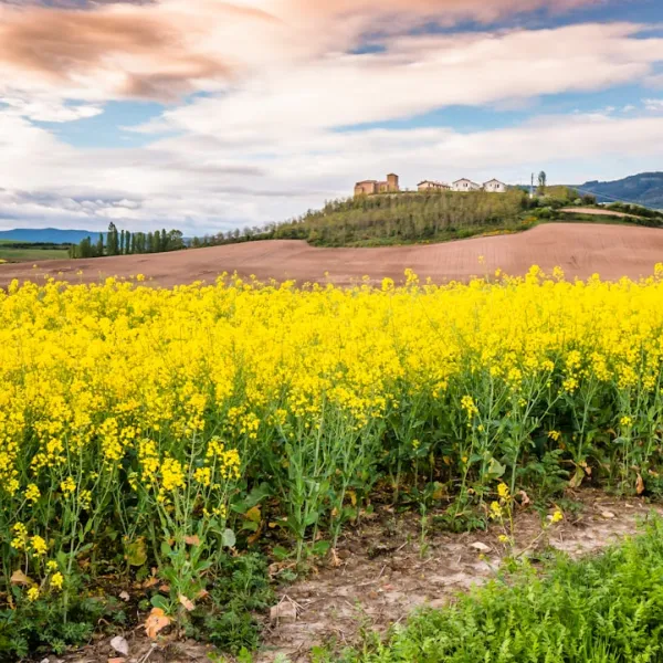 The Foral Community of Navarre in Spain is a region rich in history, culture, an...