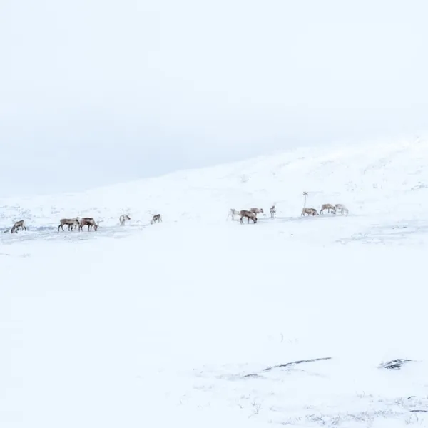 Sweden is one of the most beautiful countries in the world, and its northernmost...