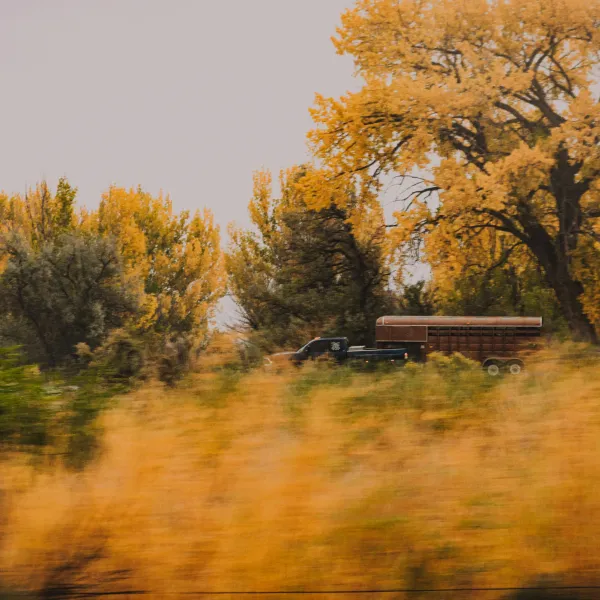 Colorado