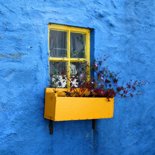 Cork