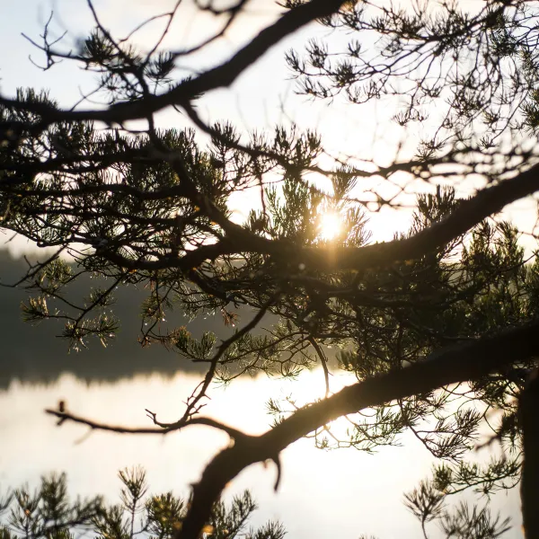 Dalsland