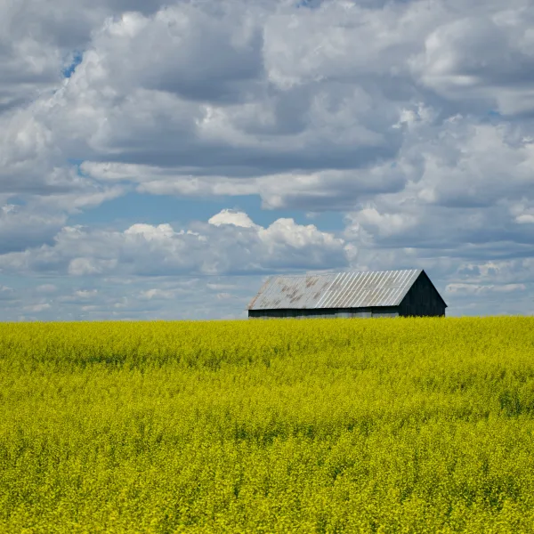 Idaho