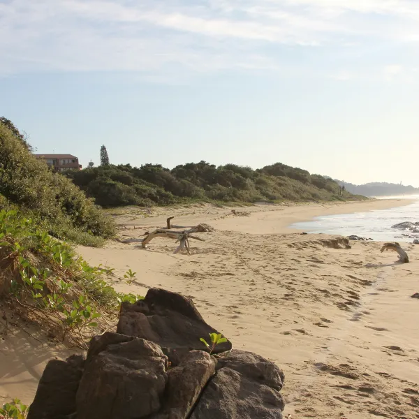 KwaZulu-Natal