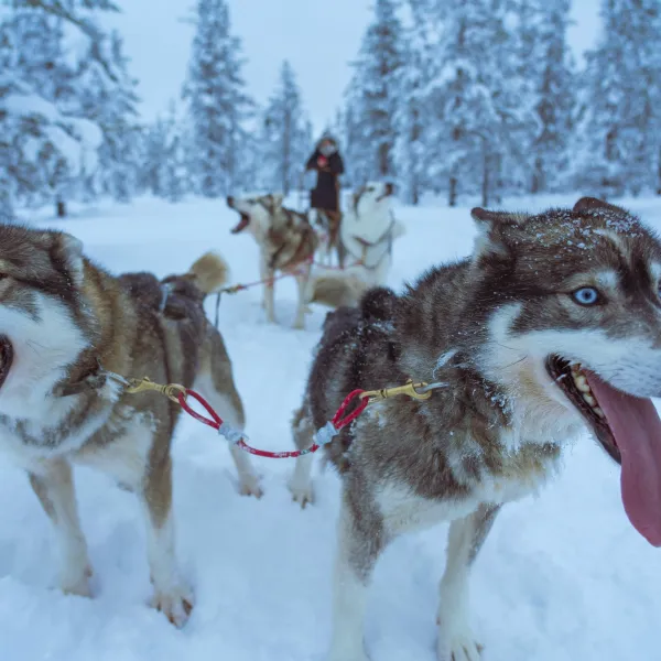 Lapland