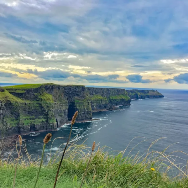 Leinster