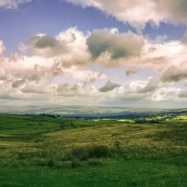 Midlands