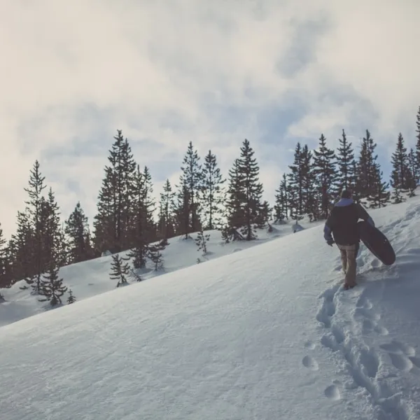 Montana