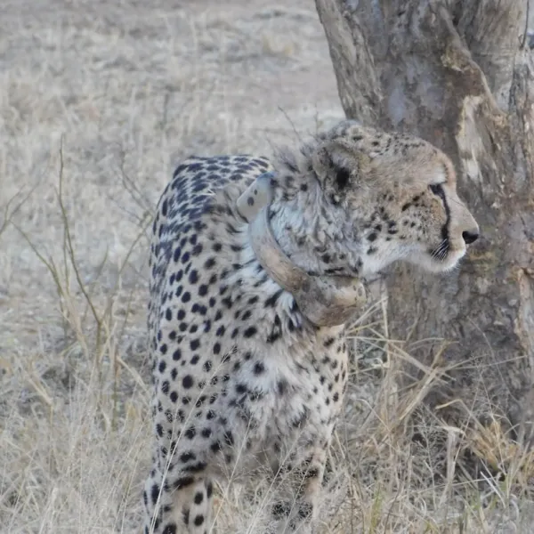Mpumalanga