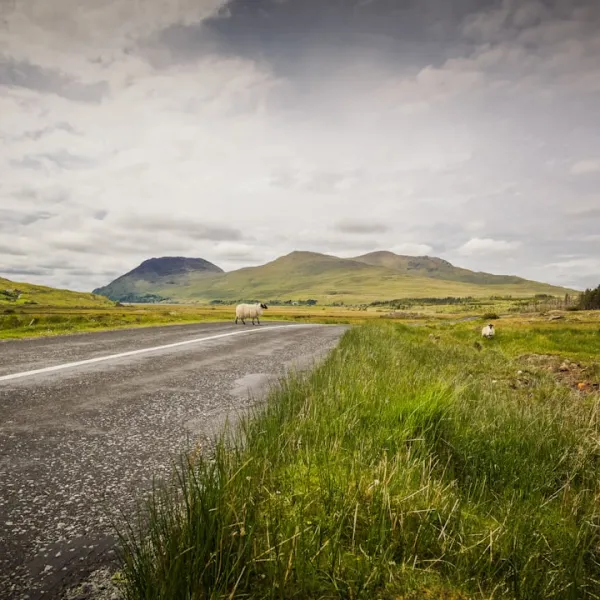 Munster