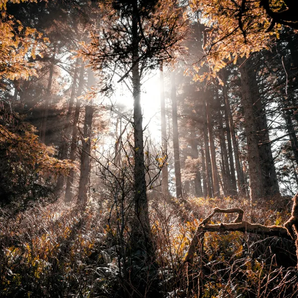 Oregon