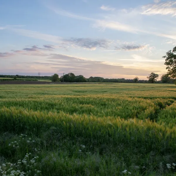 Oxfordshire