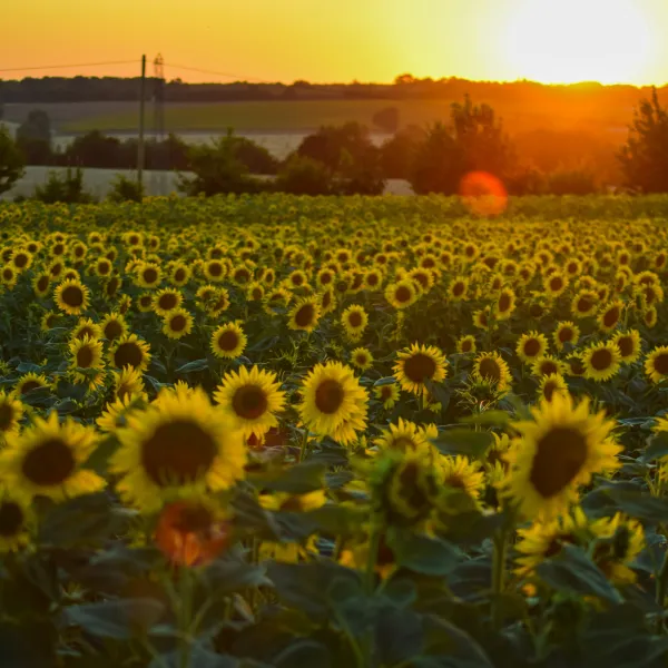 Poitou-Charentes