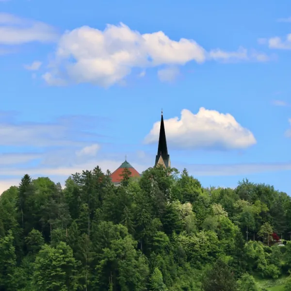 Pomurje / Pohorje e i suoi dintorni / Valle della Savinja