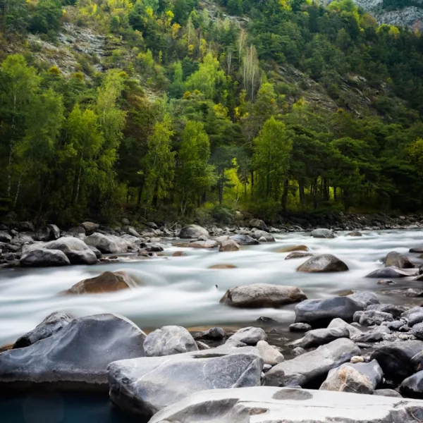 Rhône-Alpes