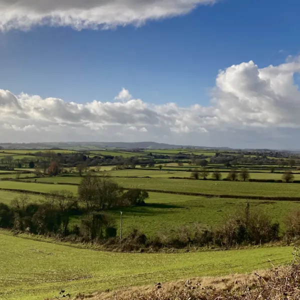 Somerset