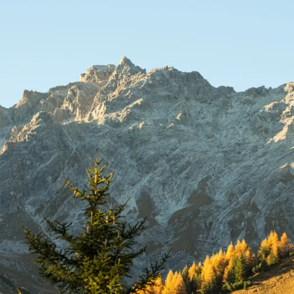 Tyrol