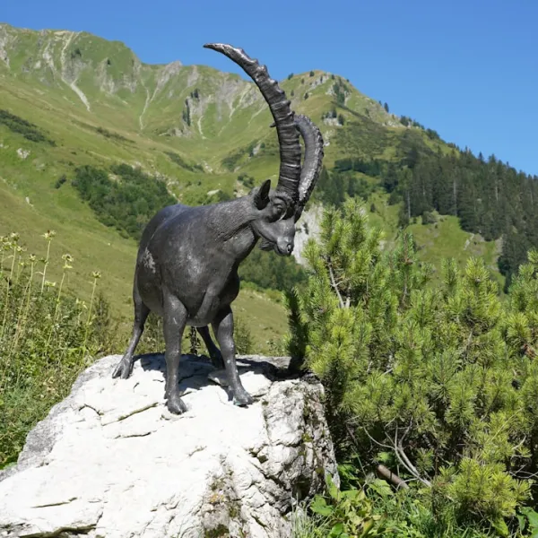 Haute-Autriche